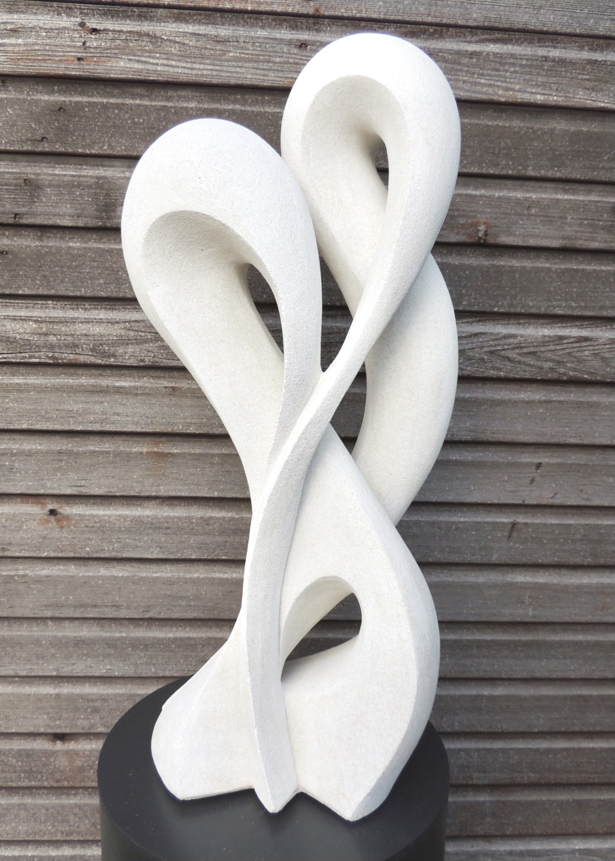 Two intertwined pale stone forms against a wooden wall